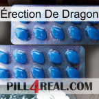 Érection De Dragon viagra2